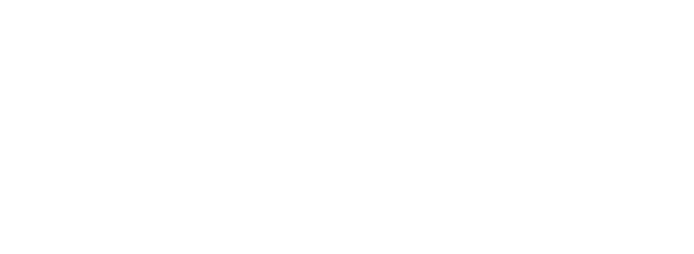 Solutes Consultores · Capacitaciones y Consultorías